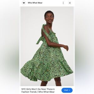 H&M Green Leopard Print Dress